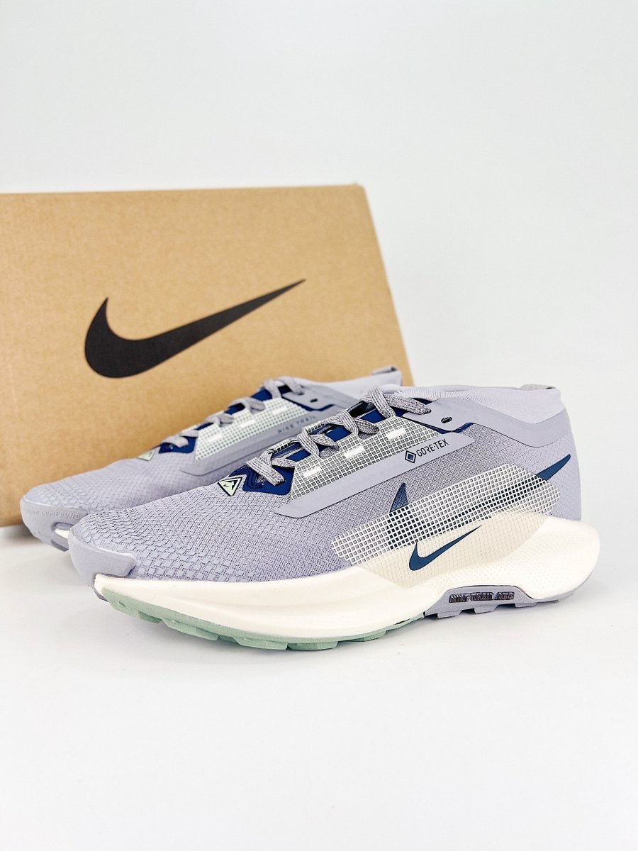 Nike Pegasus Trail 5 GORE - TEX - Royal Feet 2025