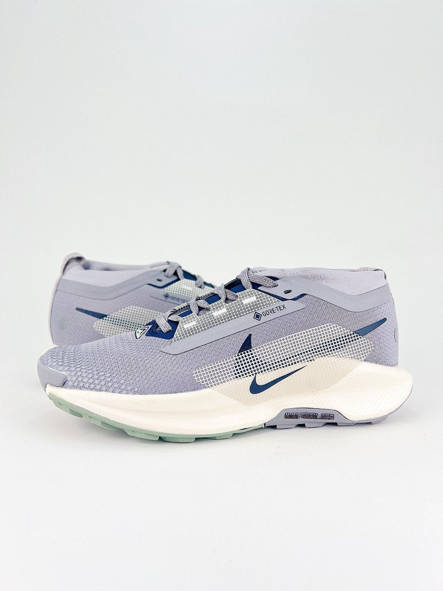 Nike Pegasus Trail 5 GORE - TEX - Royal Feet 2025